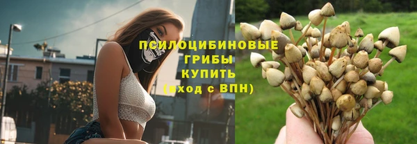 mdpv Пестово