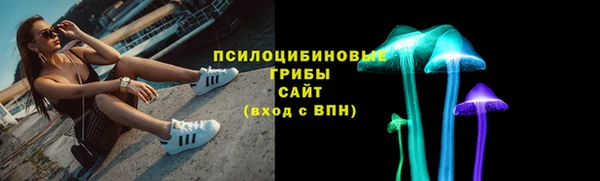 дмт Алзамай