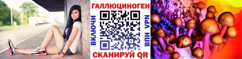 Псилоцибиновые грибы Cubensis  Буй 